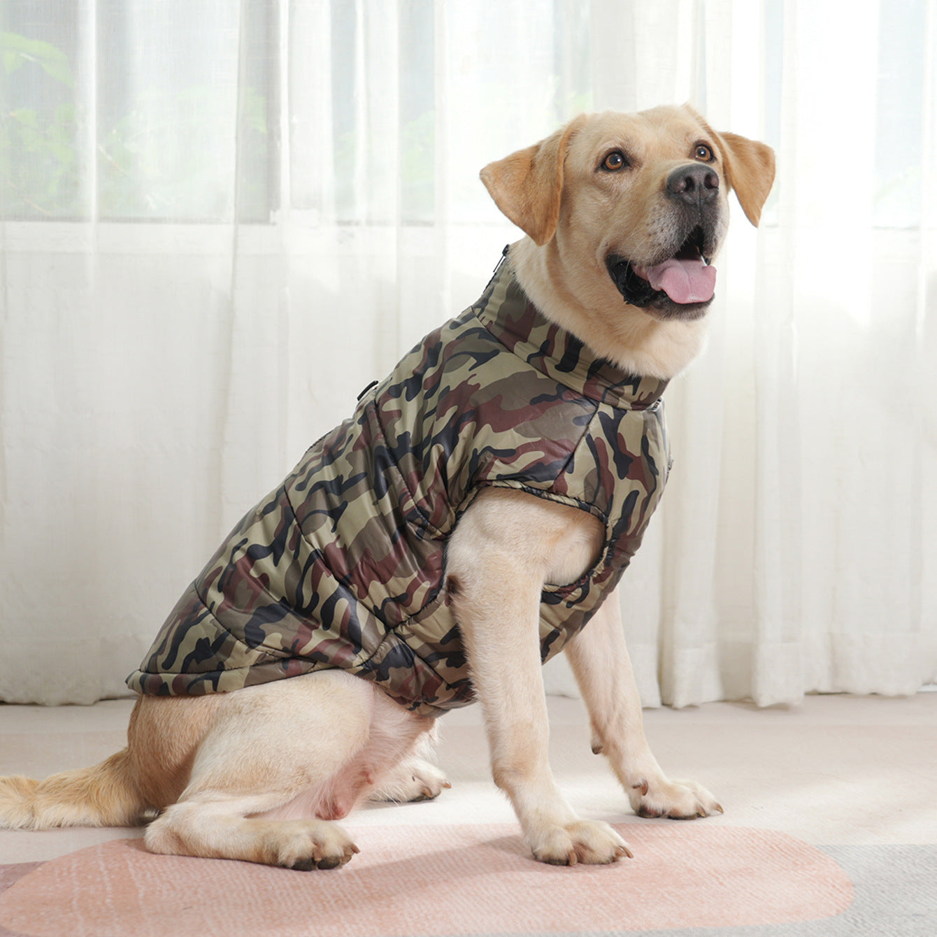 Militaire