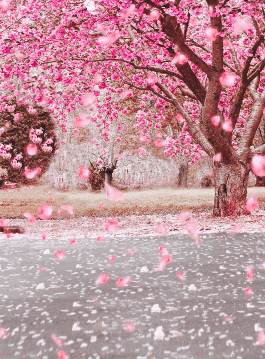 🌸 Le Printemps : Une Saison de Renaissance, de Renouveau et de Croissance Active