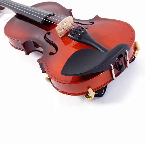 Violon